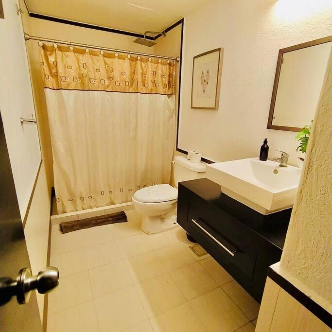 Departamento Con Ubicacion Unica Apartment ปลายาเดลการ์เมน ภายนอก รูปภาพ